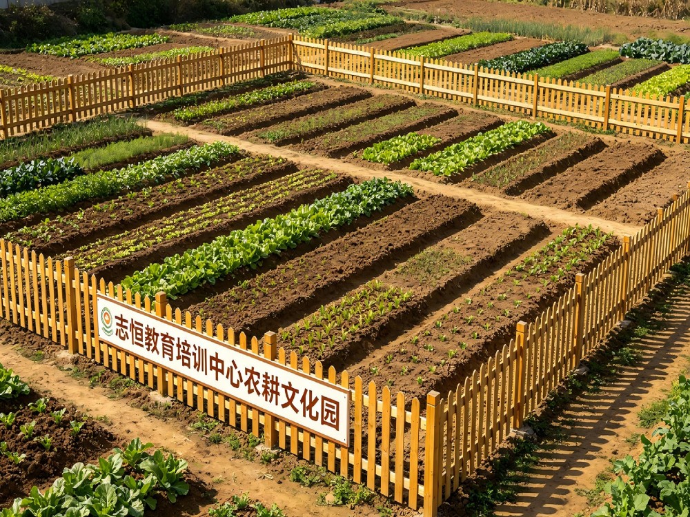 深圳叛逆青少年教育学校选择指南:从办学资质到培育体系的实战解析